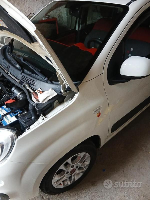 Usata Fiat Panda 2014 Bianco Utilitaria