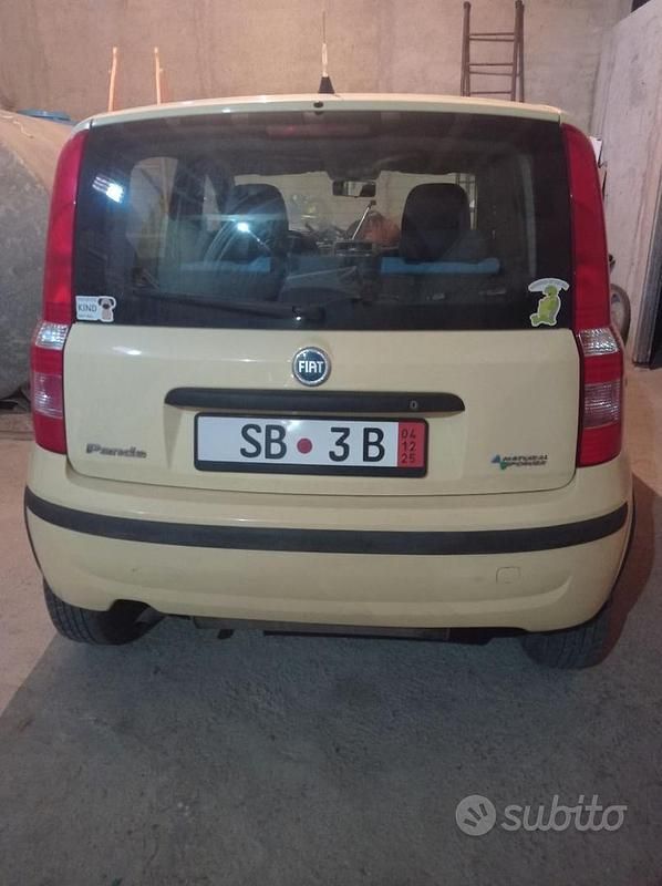 Usata Fiat Panda 2009 Giallo Berlina