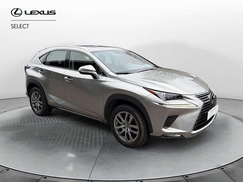Usata Lexus NX300h Executive Line 197 CV (144 kW) 2020 Grigio SUV