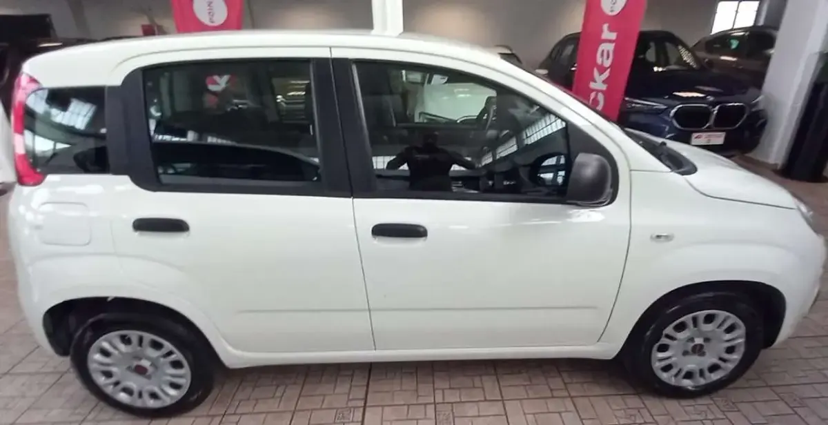 Usata Fiat Panda Easy 69 CV (50 kW) 2020 Bianco Utilitaria