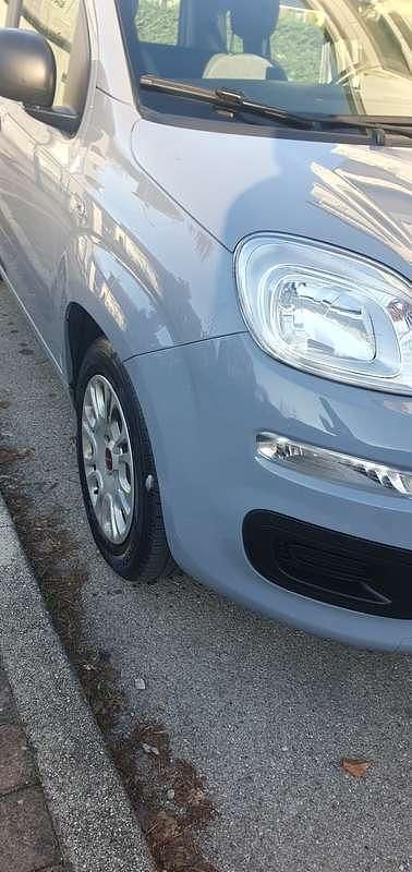 Usata Fiat Panda City Life 69 CV (50 kW) 2021 Utilitaria