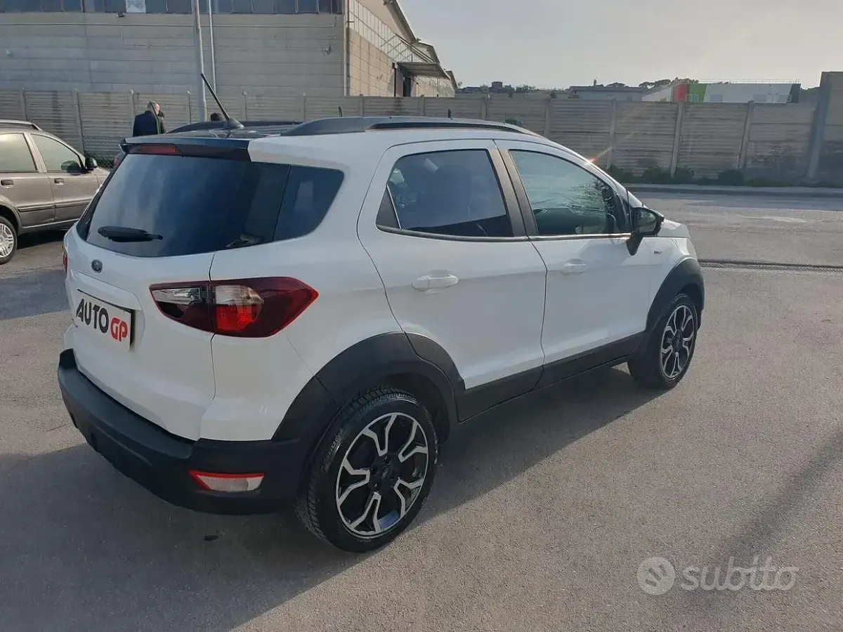 Usata Ford Ecosport Active 125 CV (91 kW) 2022 Bianco SUV