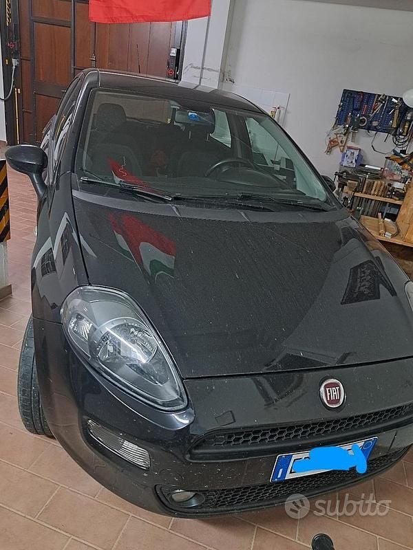 Usata Fiat Punto 77 CV (56 kW) 2013 Berlina