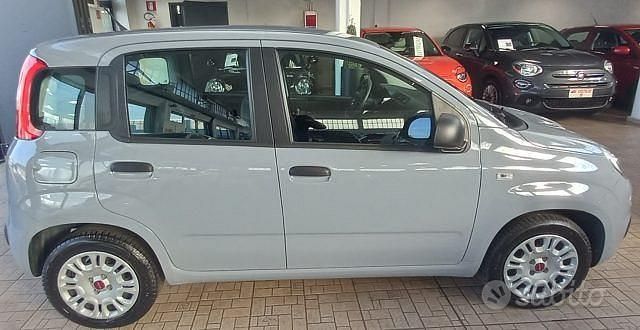 Usata Fiat Panda Easy 69 CV (50 kW) 2019 Grigio Berlina
