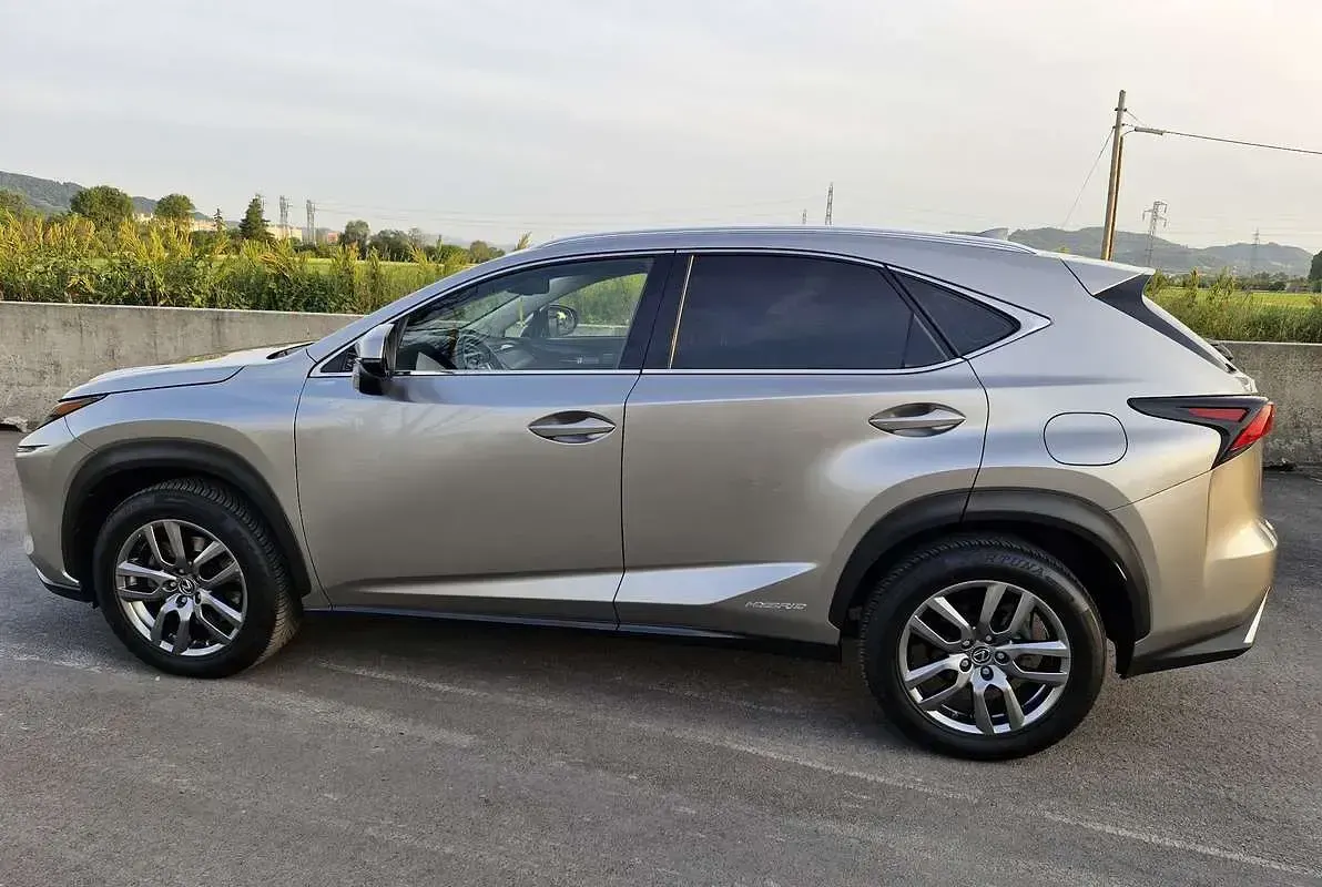 Usata Lexus NX300h Business Edition 155 CV (114 kW) 2018 Grigio SUV