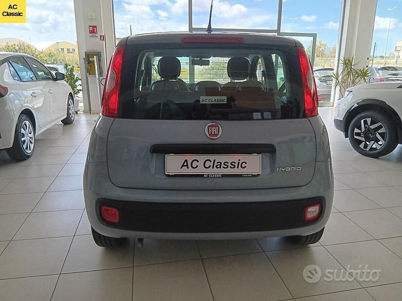 Usata Fiat Panda 70 CV (51 kW) 2022 Grigio Utilitaria