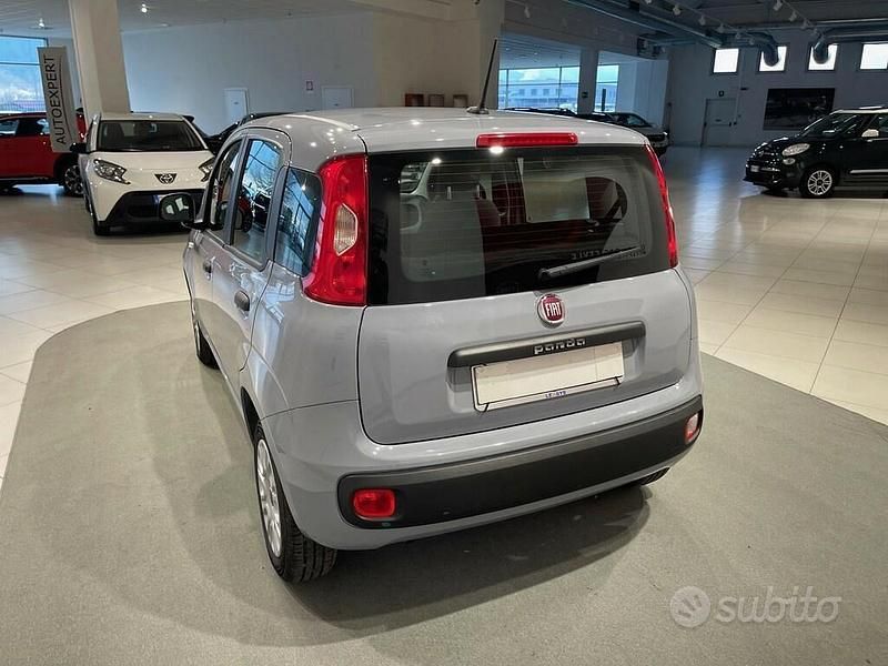 Usata Fiat Panda Easy 69 CV (50 kW) 2020 Grigio Utilitaria
