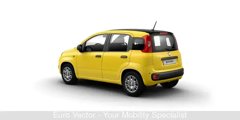 Usata Fiat Panda S 70 CV (51 kW) 2024 Giallo Utilitaria