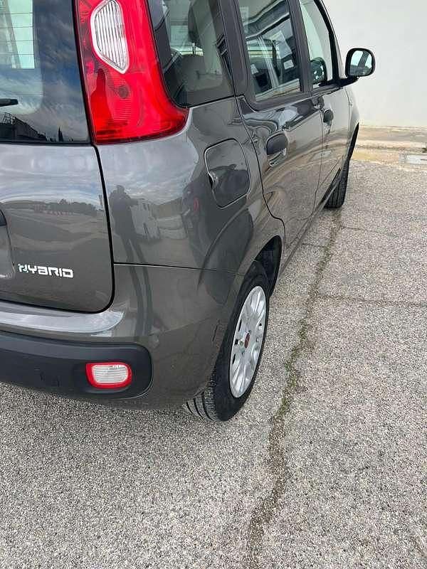Usata Fiat Panda 69 CV (50 kW) 2021 Grigio Utilitaria