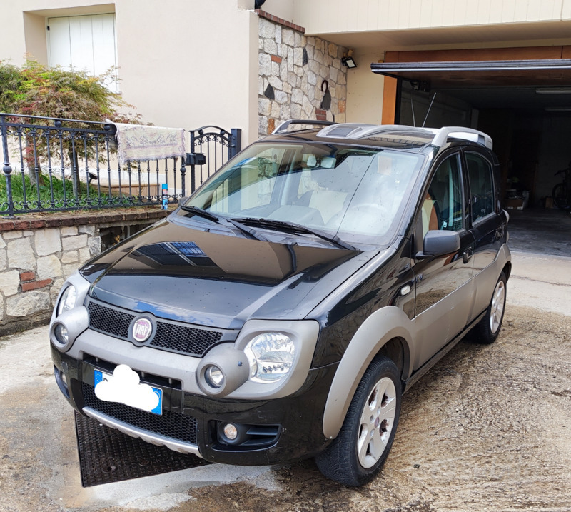 Usato 2007 Fiat Panda Cross 1.2 Diesel 69 CV (6.000 €) | Veneto | AutoUncle