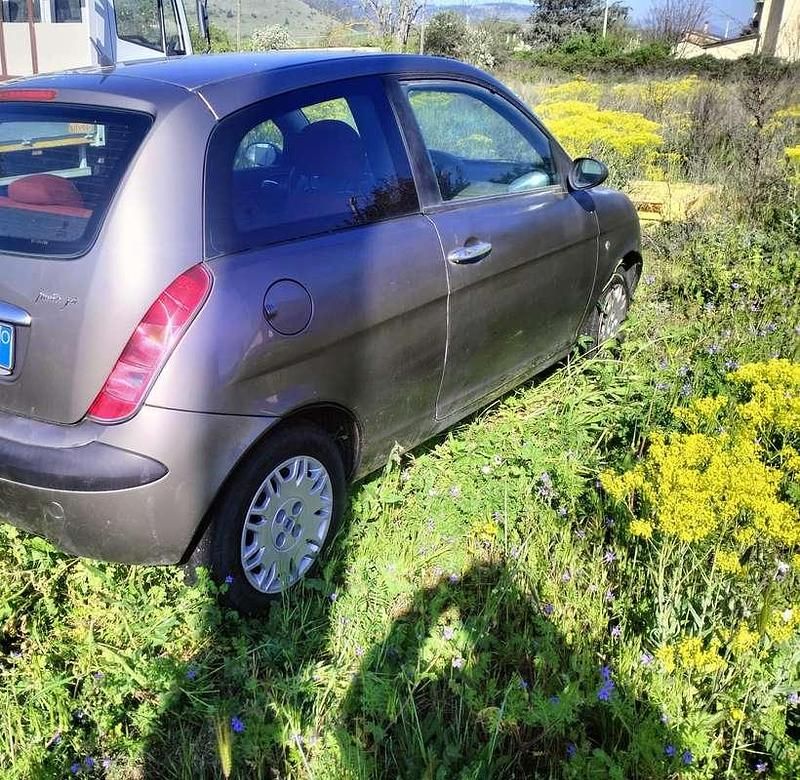 Usata Lancia Ypsilon 69 CV (50 kW) 2007 Utilitaria