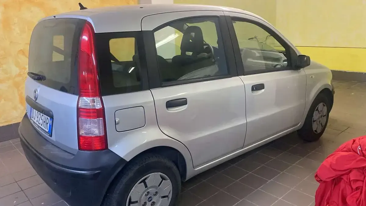 Usata Fiat Panda Active 54 CV (39 kW) 2007 Argento Utilitaria