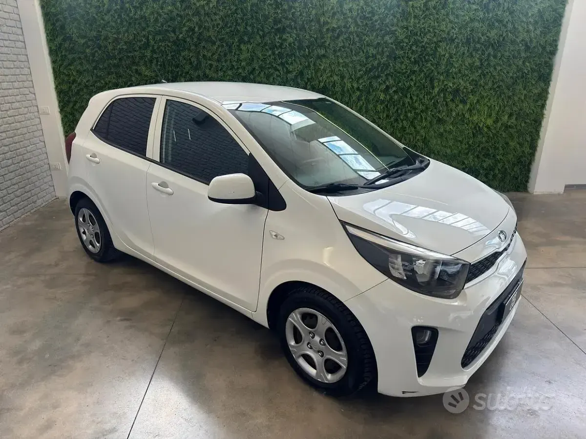 Usata Kia Picanto City 65 CV (47 kW) 2019 Bianco Utilitaria