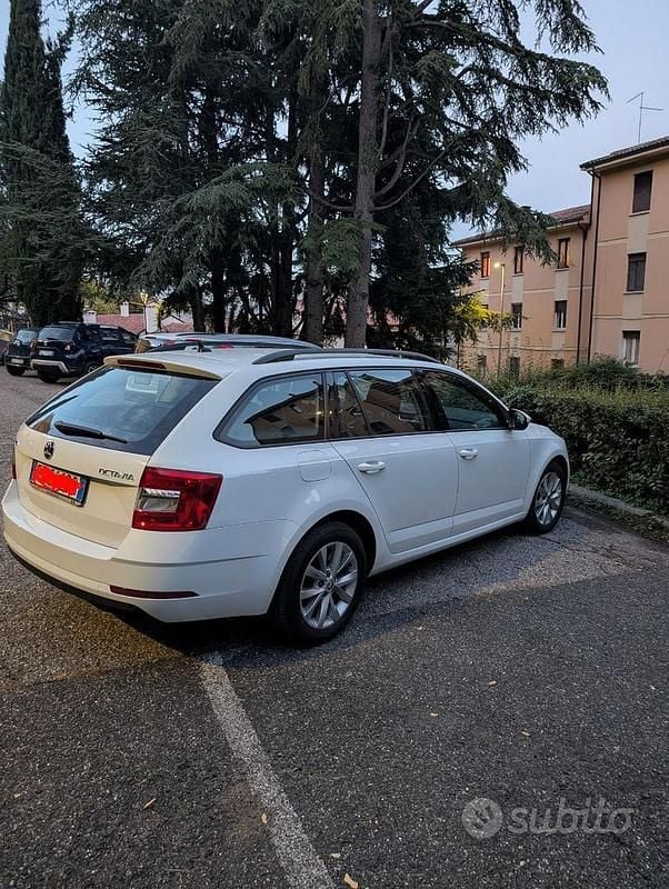 Usata Skoda Octavia 116 CV (85 kW) 2019 Bianco Station wagon