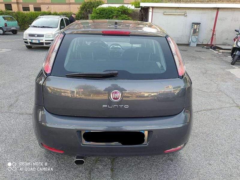 Usata Fiat Punto Lounge 85 CV (62 kW) 2014 Grigio Berlina
