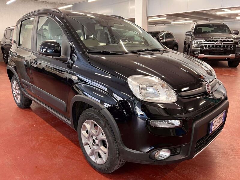 Usato 2013 Fiat Panda 4x4 1.2 Diesel 75 CV (11.900 €)