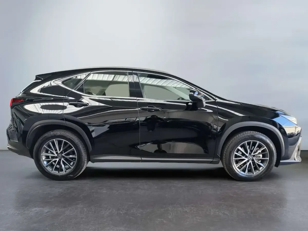 Usata Lexus NX300 Sport Line 309 CV (227 kW) 2024 Nero SUV