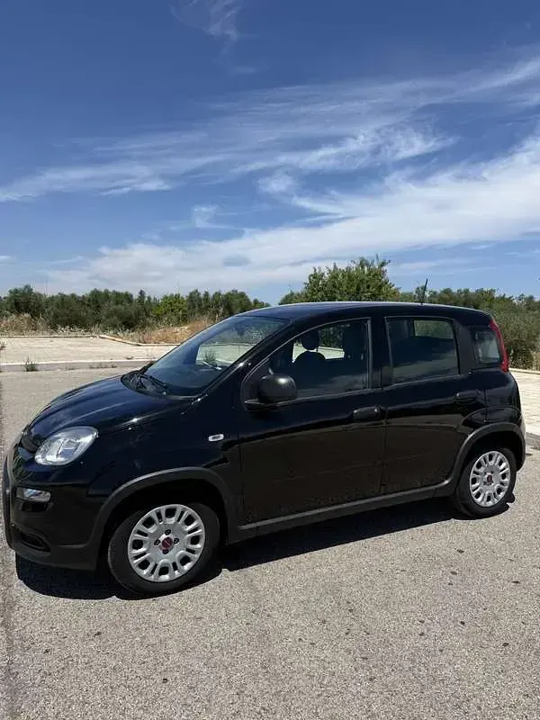 Usata Fiat Panda 69 CV (50 kW) 2023 Utilitaria
