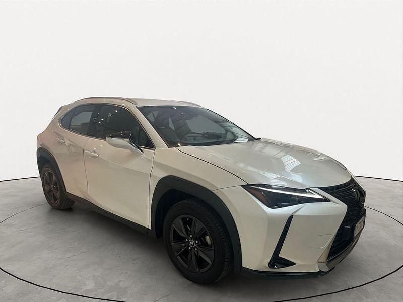 Usata Lexus UX 183 CV (134 kW) 2024 Bianco SUV
