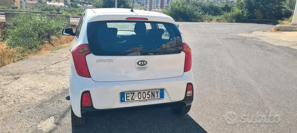 Usata Kia Picanto 67 CV (49 kW) 2015 Bianco Utilitaria