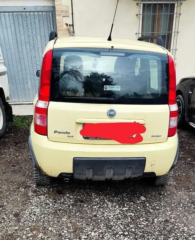 Usata Fiat Panda 4x4 Climbing 69 CV (50 kW) 2007 Utilitaria