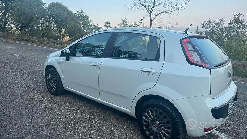 Usata Fiat Punto Evo Dynamic 69 CV (50 kW) 2011 Bianco Utilitaria