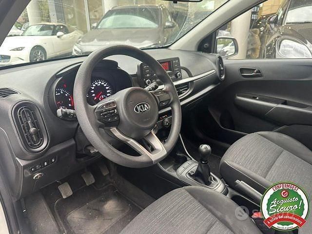 Usata Kia Picanto City 67 CV (49 kW) 2019 Bianco Utilitaria
