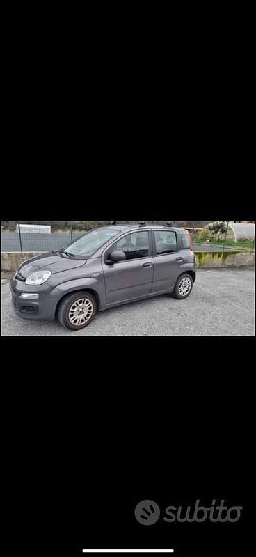 Usata Fiat Panda Easy 2018 Grigio Berlina