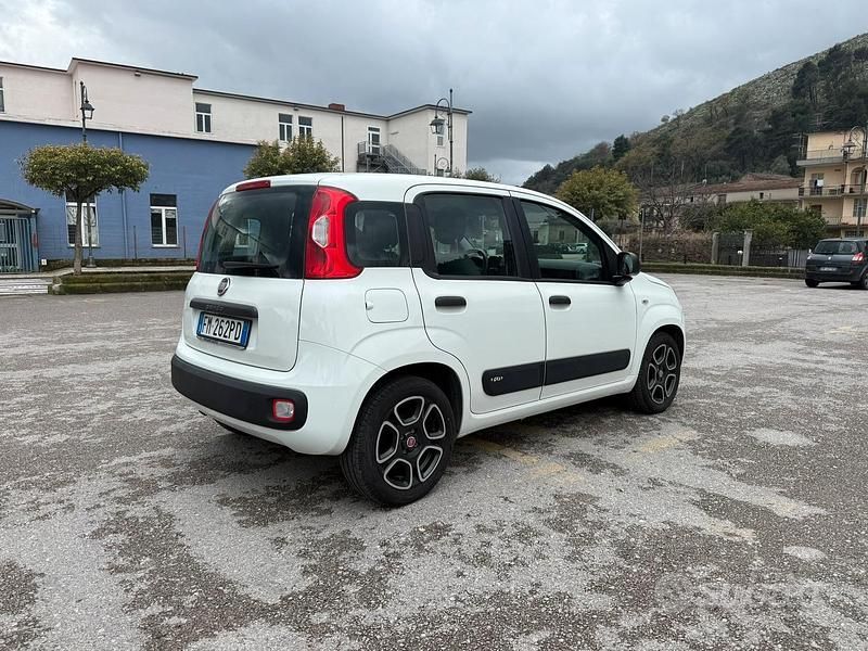 Usata Fiat Panda Easy 95 CV (69 kW) 2017 Bianco Utilitaria