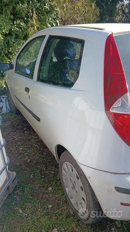Usata Fiat Punto 75 CV (55 kW) 2009 Bianco Utilitaria