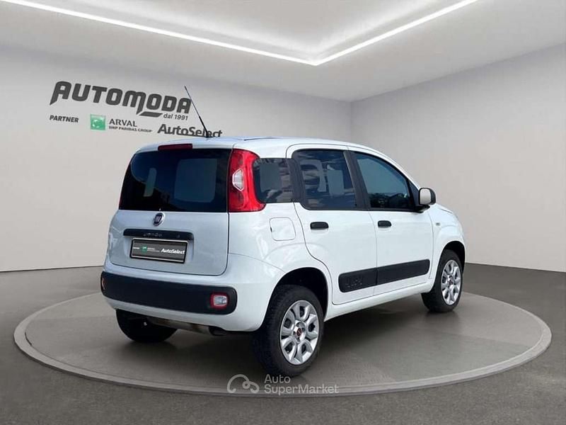 Usata Fiat Panda 4x4 84 CV (61 kW) 2019 Bianco Utilitaria