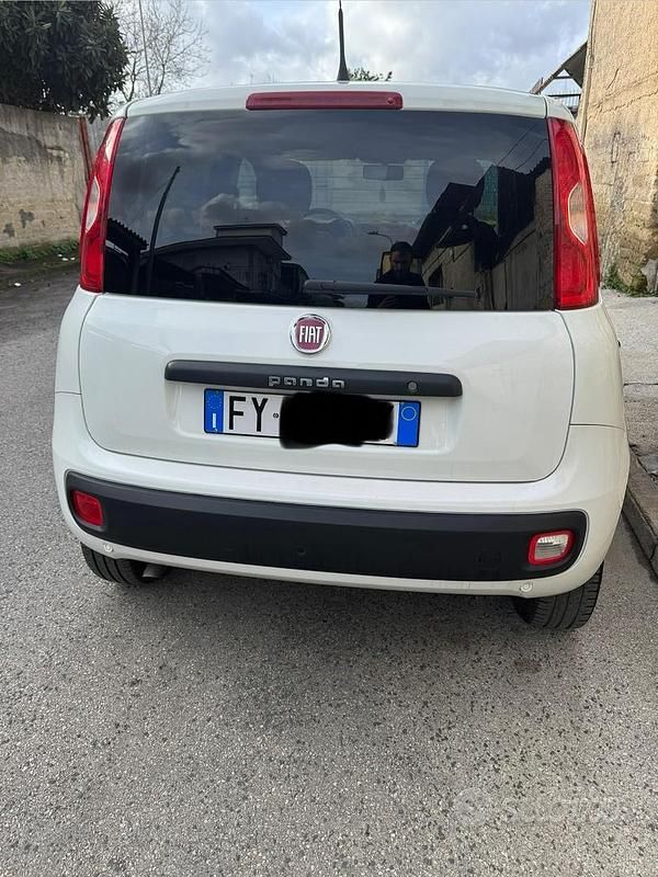 Usata Fiat Panda Easy 69 CV (50 kW) 2019 Bianco Utilitaria