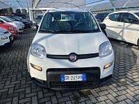 Usata Fiat Panda S 69 CV (50 kW) 2023 Bianco Utilitaria
