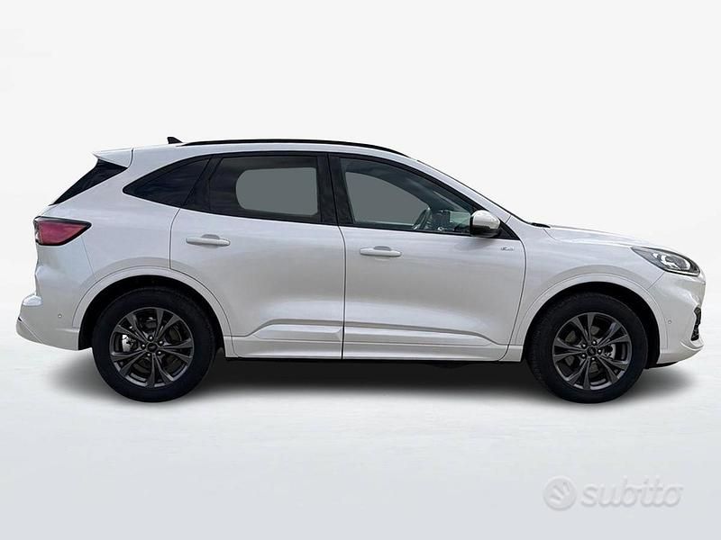 Usata Ford Kuga ST-Line X 225 CV (165 kW) 2023 Bianco SUV