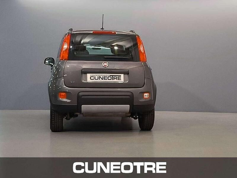 Usata Fiat Panda 4x4 S 84 CV (61 kW) 2020 Other Utilitaria
