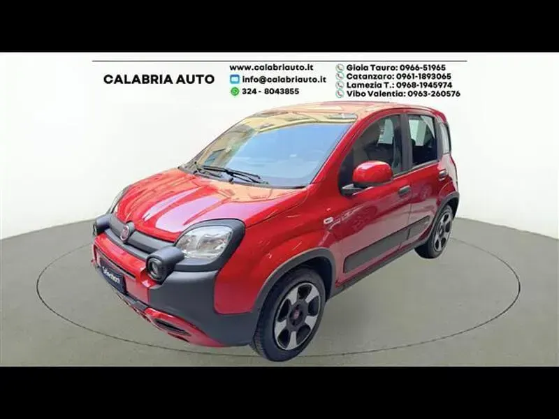 Usata Fiat Panda Red 70 CV (51 kW) 2023 Rosso Utilitaria
