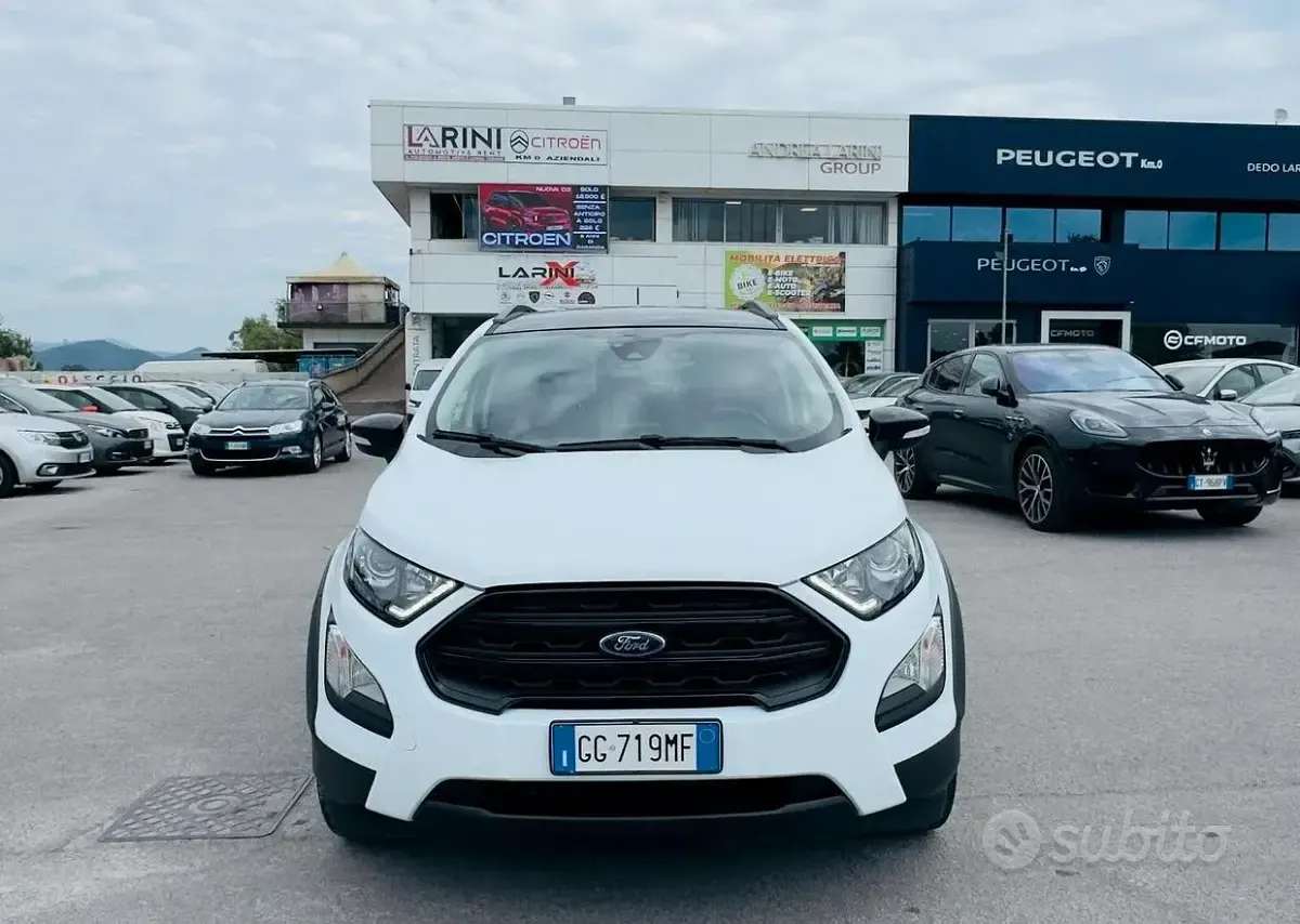 Occasion Ford Ecosport Active 125 PK (91 kW) 2022 Wit SUV