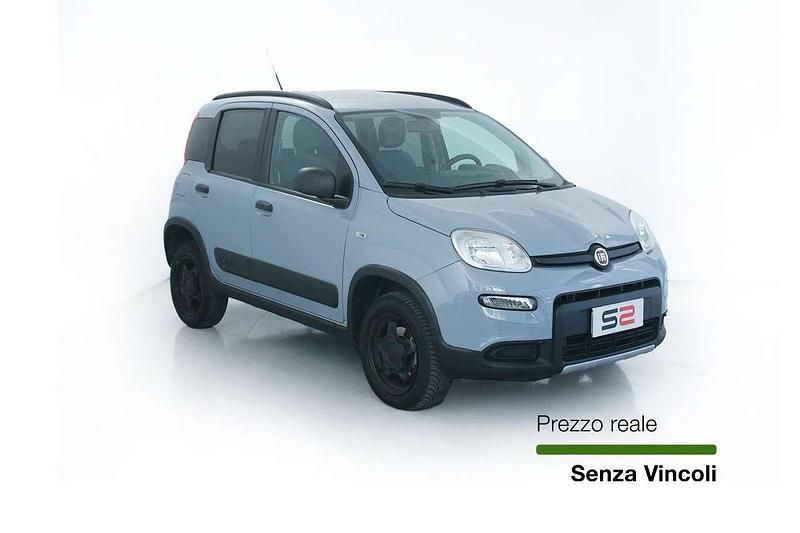 Usata Fiat Panda 4x4 S 84 CV (61 kW) 2019 Grigio Utilitaria