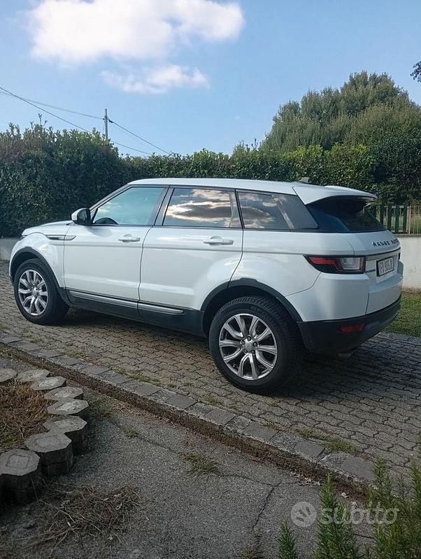Usata Land Rover Range Rover evoque 150 CV (110 kW) 2016 Bianco SUV