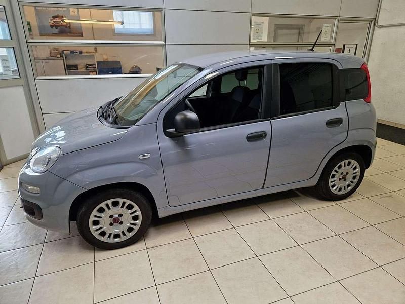 Usata Fiat Panda Easy 69 CV (50 kW) 2020 Grigio Utilitaria