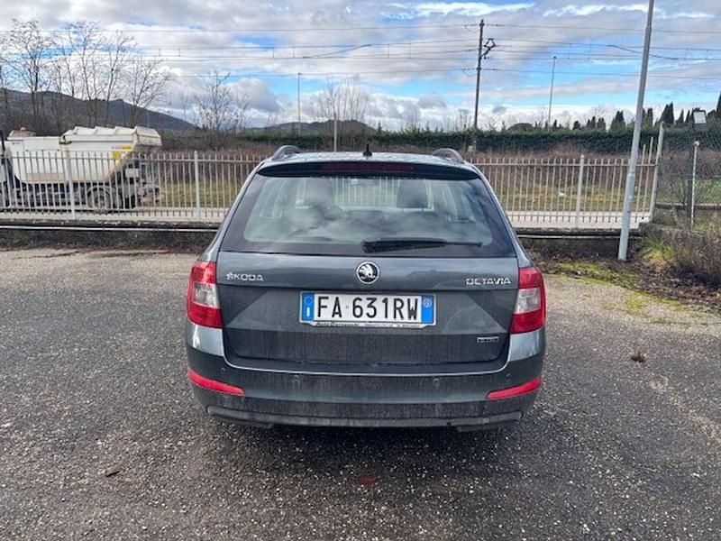 Usata Skoda Octavia G-TEC Executive 110 CV (80 kW) 2015 Grigio Station wagon