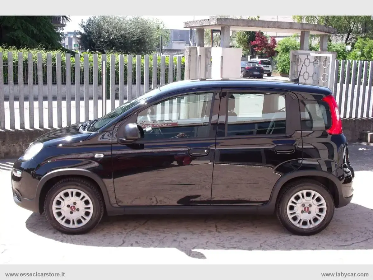 Usata Fiat Panda 69 CV (50 kW) 2023 Nero Utilitaria