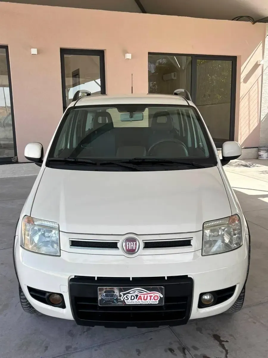 Usata Fiat Panda 4x4 75 CV (55 kW) 2011 Utilitaria