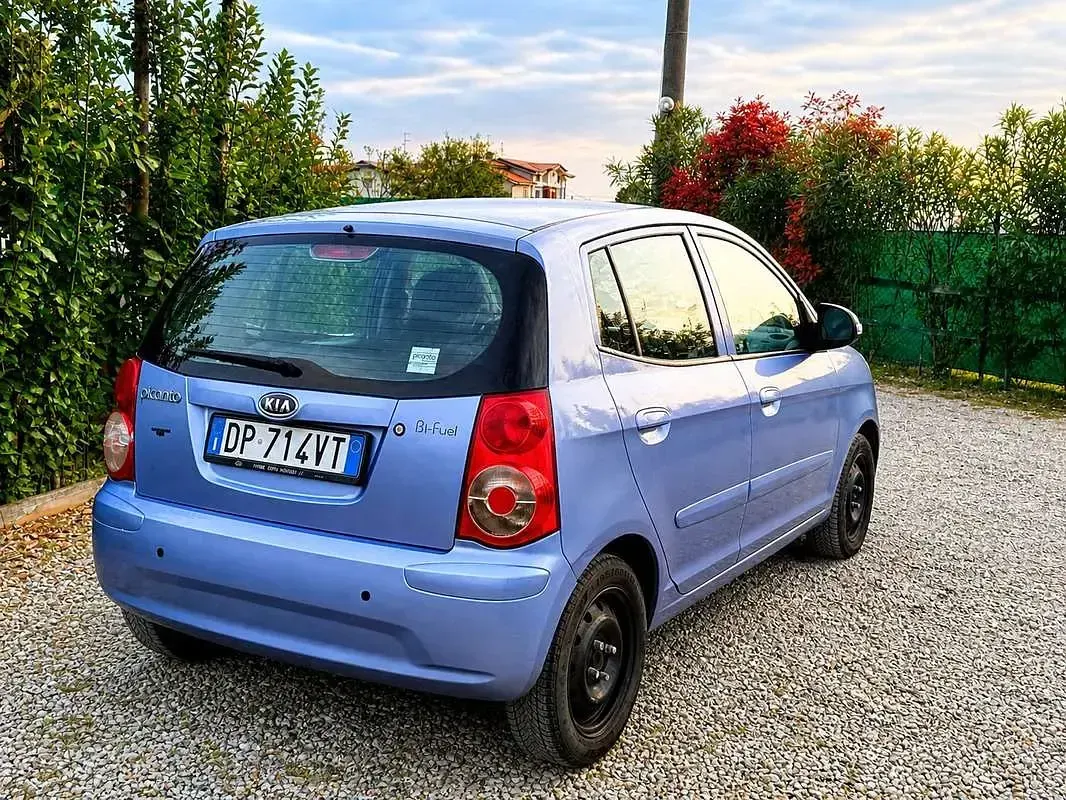 Usata Kia Picanto 65 CV (47 kW) 2008 Blu Utilitaria
