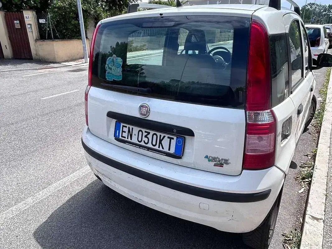 Usata Fiat Panda 77 CV (56 kW) 2012 Bianco Utilitaria