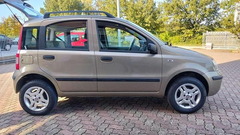 Usata Fiat Panda Dynamic 60 CV (44 kW) 2008 Bronzo Utilitaria
