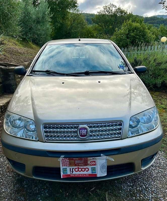 Usata Fiat Punto Classica 69 CV (50 kW) 2010 Utilitaria