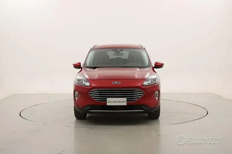 Usata Ford Kuga Business Edition 190 CV (139 kW) 2021 Rosso SUV