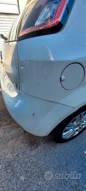 Usata Fiat Punto Evo Easy 2013 Bianco Utilitaria