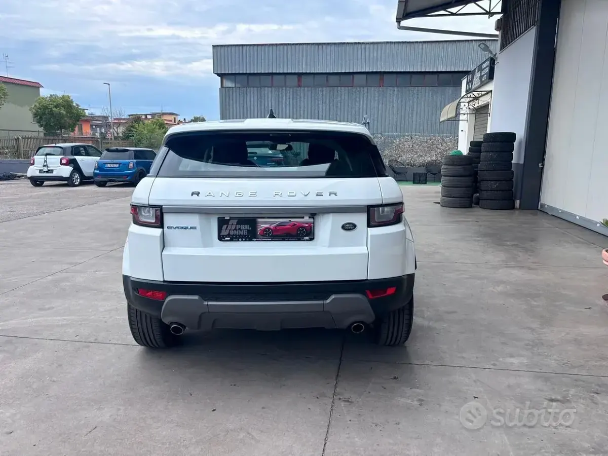 Usata Land Rover Range Rover evoque SE Dynamic 150 CV (110 kW) 2018 Bianco SUV